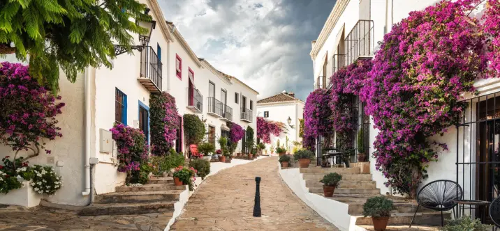 Продажа таунхауса в Nueva Andalucía 1