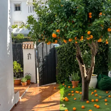 Sale of townhouse in Nueva Andalucía