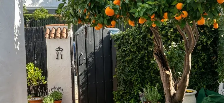 Sale of townhouse in Nueva Andalucía 2