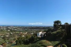 Image 4 thumb