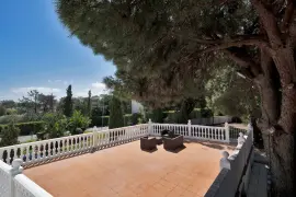 Image 2 thumb
