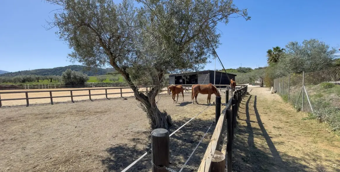 Sale of detached villa in Alhaurín el Grande 113