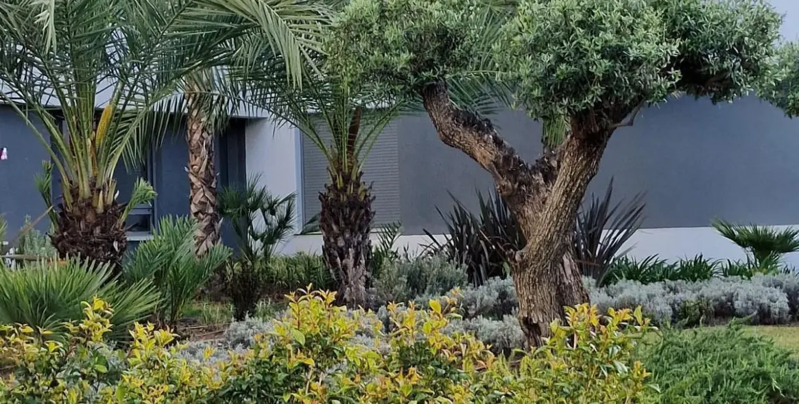 Short-term rent of middle floor apartment in Estepona 8