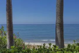 Image 6 thumb