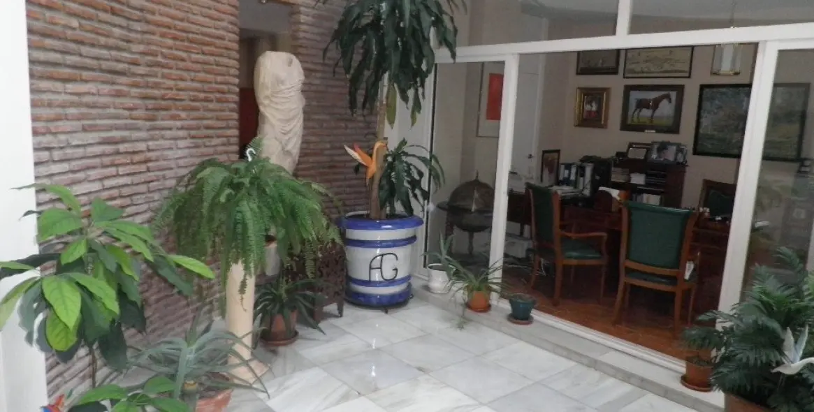 Long-term rent of detached villa in Estepona 15