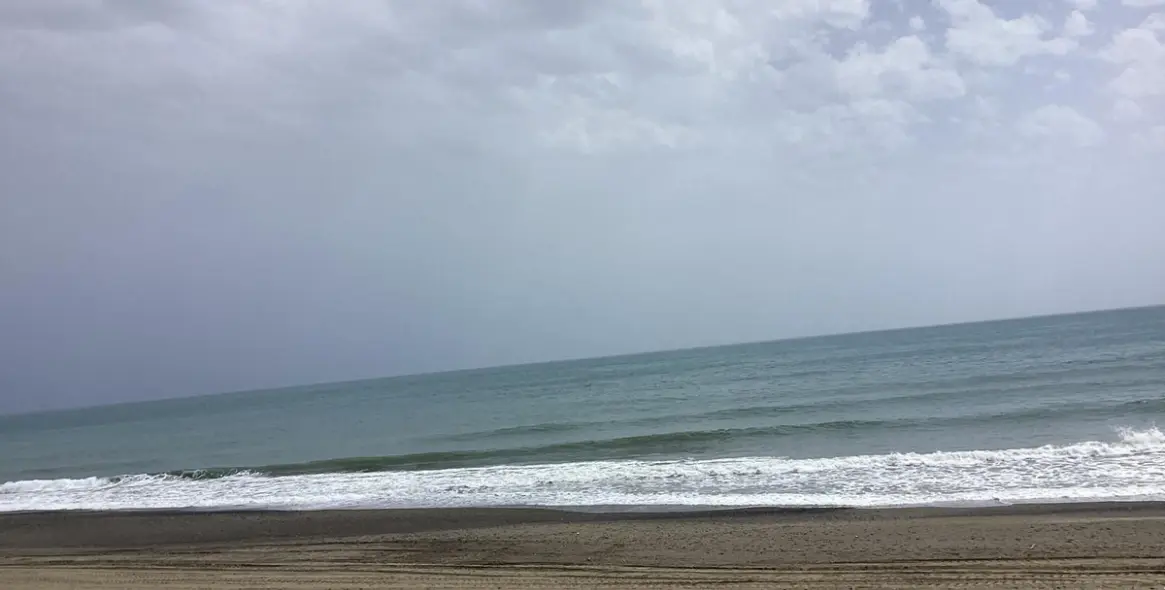 Долгосрочная аренда двухуровневых апартаментов в Estepona 10