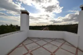 Image 8 thumb