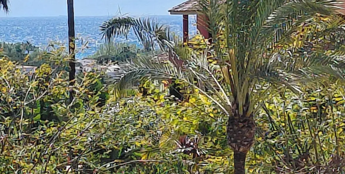 Venta de apartamento en planta baja en Estepona 51