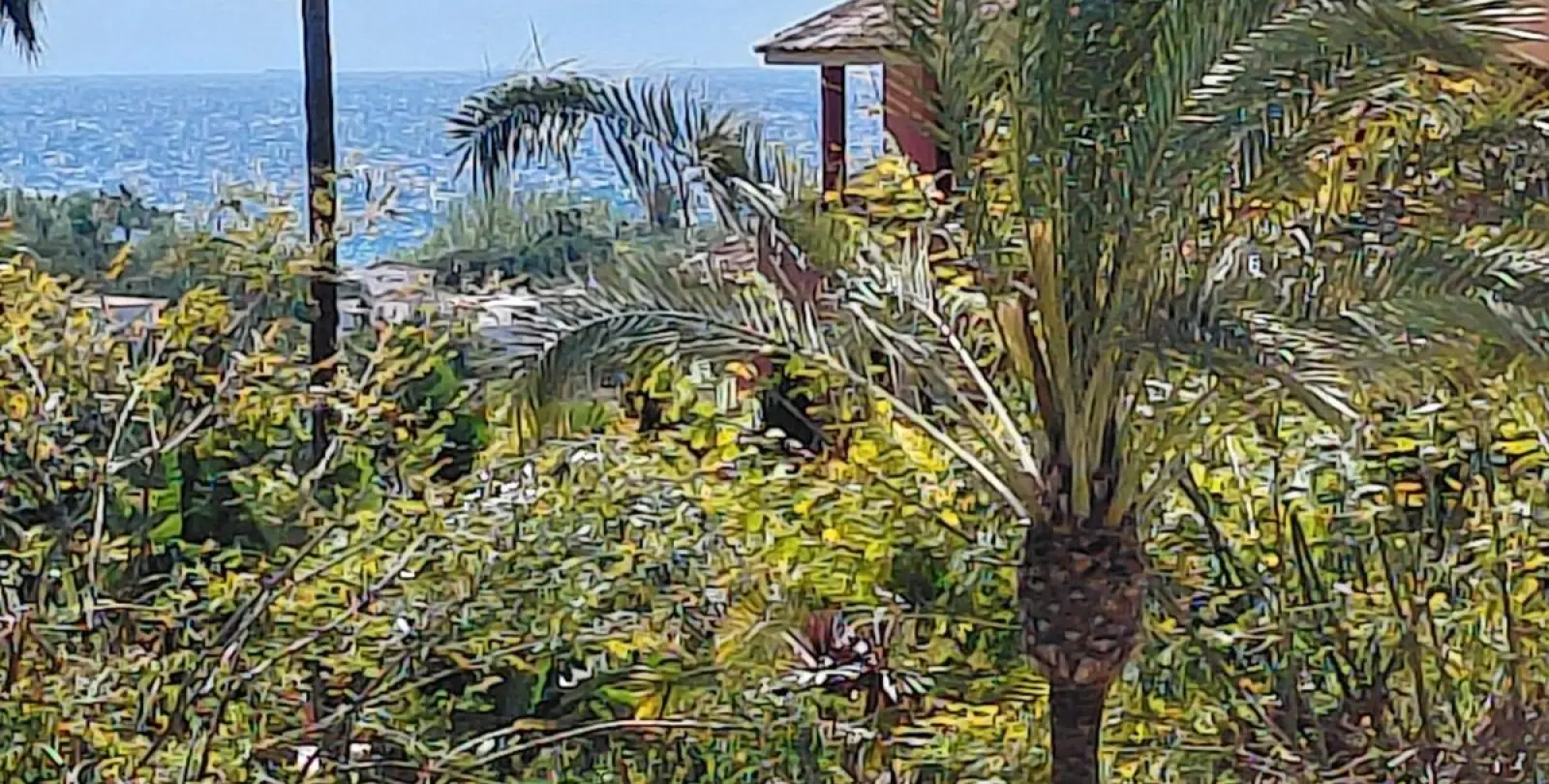Long-term rent of ground floor apartment in Estepona 39