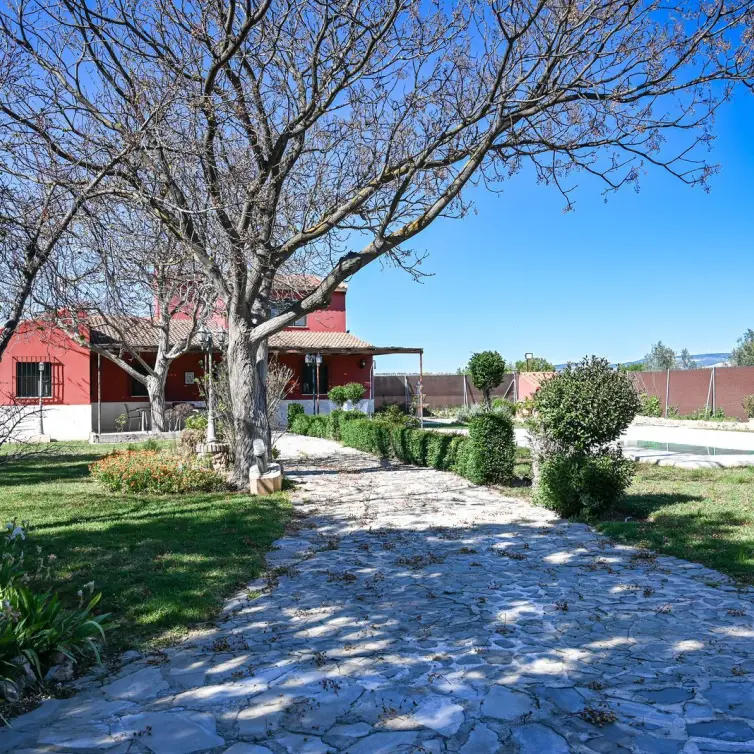 Sale of finca - cortijo in Antequera