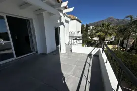 Image 4 thumb