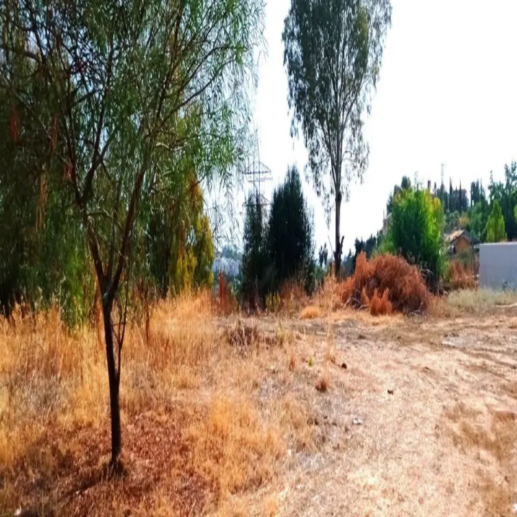 Продажа  жилого участка в La Quinta