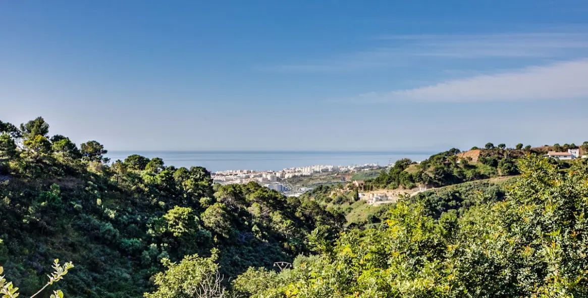 Продажа  отдельно стоящей виллы в Estepona 3