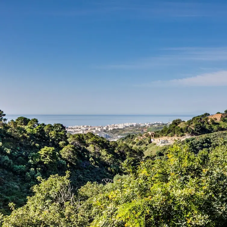 Продажа  отдельно стоящей виллы в Estepona