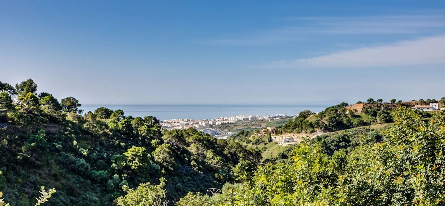 Продажа  отдельно стоящей виллы в Estepona 3