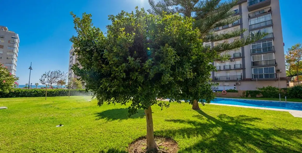 Sale of middle floor apartment in Torreblanca 25
