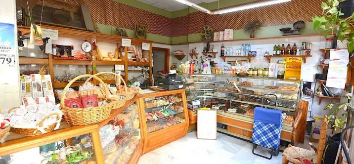 Sale of business in Málaga Centro 3