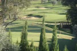 Image 4 thumb