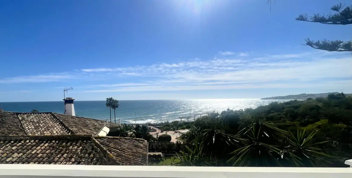 Sale of detached villa in El Chaparral 4