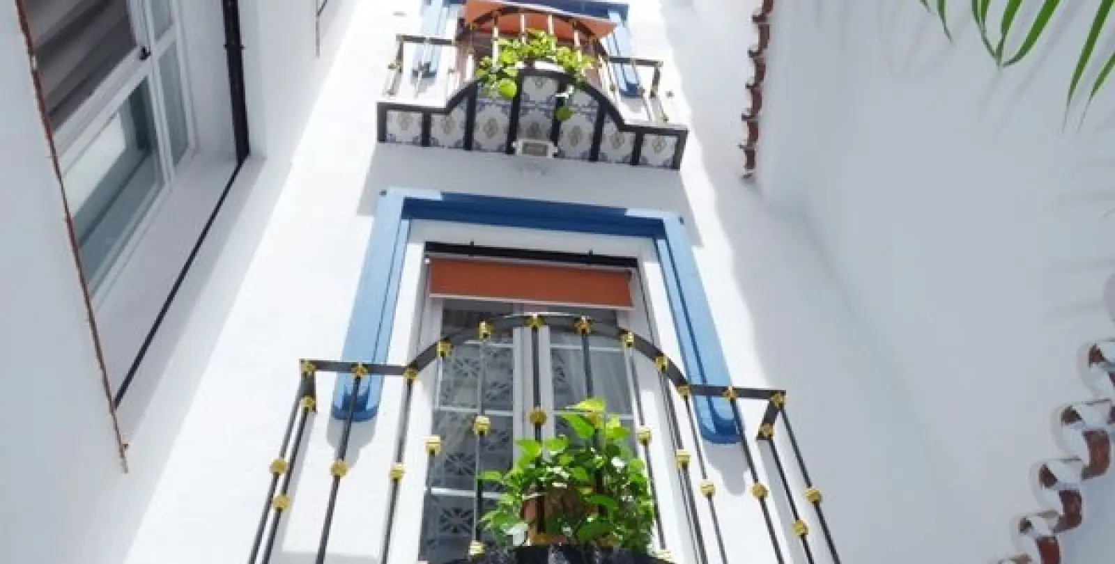 Long-term rent of townhouse in Marbella 4