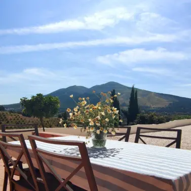 Sale of finca - cortijo in Alhaurín el Grande