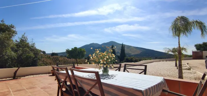Sale of finca - cortijo in Alhaurín el Grande 2