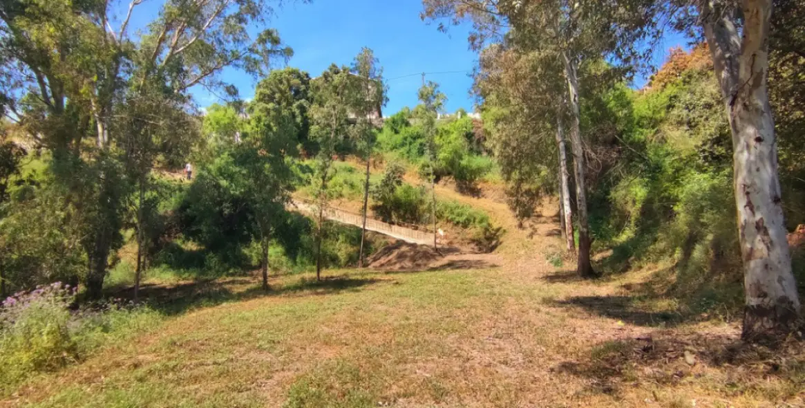 Sale of finca - cortijo in Alhaurín el Grande 5