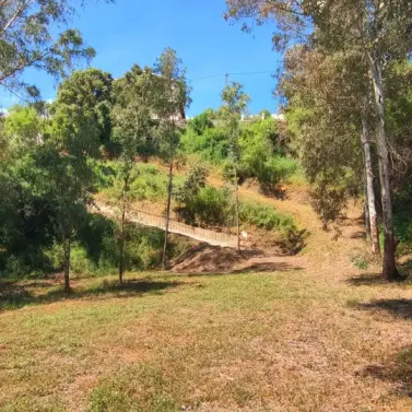 Sale of finca - cortijo in Alhaurín el Grande