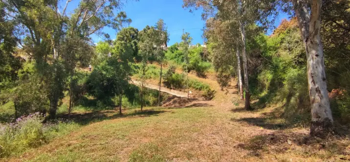 Sale of finca - cortijo in Alhaurín el Grande 4