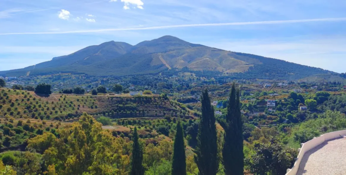 Sale of finca - cortijo in Alhaurín el Grande 10