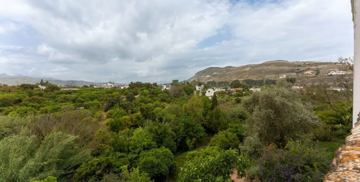 Sale of finca - cortijo in Alhaurín el Grande 35