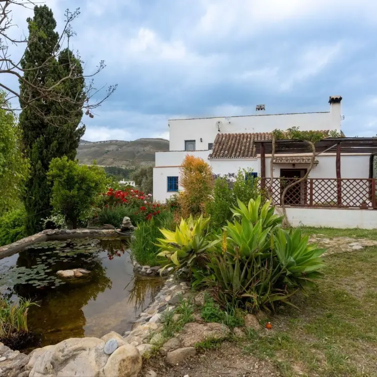 Sale of finca - cortijo in Alhaurín el Grande