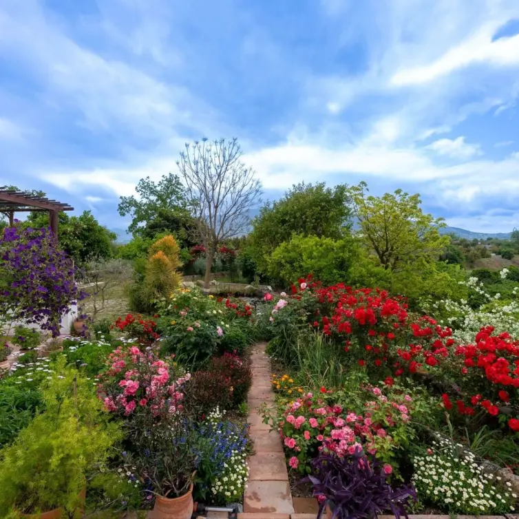 Sale of finca - cortijo in Alhaurín el Grande