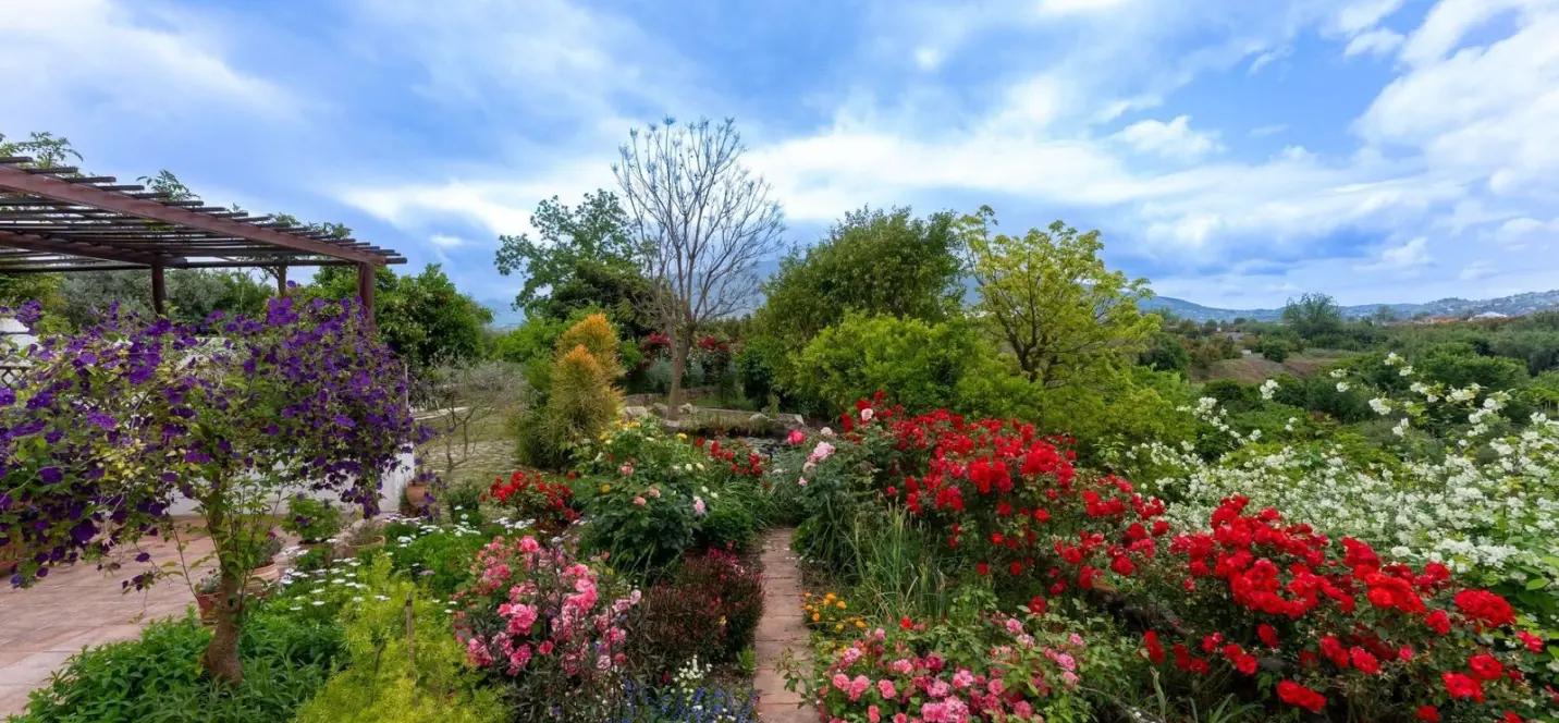 Sale of finca - cortijo in Alhaurín el Grande 1