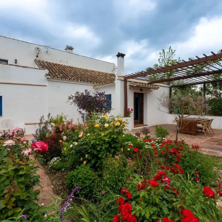Sale of finca - cortijo in Alhaurín el Grande