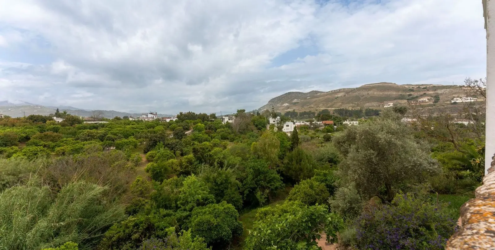 Sale of finca - cortijo in Alhaurín el Grande 33