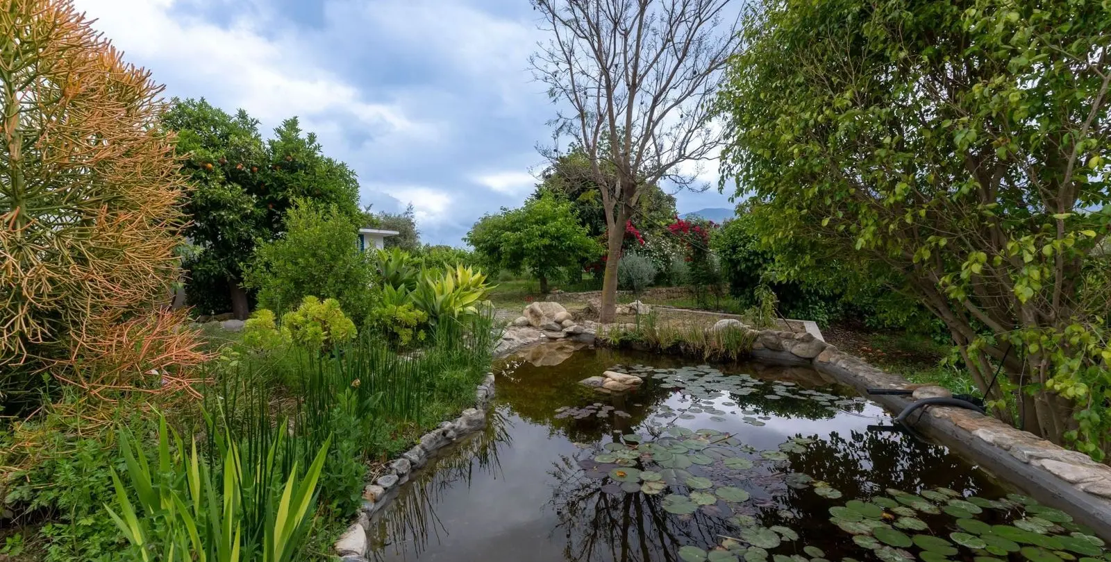 Sale of finca - cortijo in Alhaurín el Grande 38