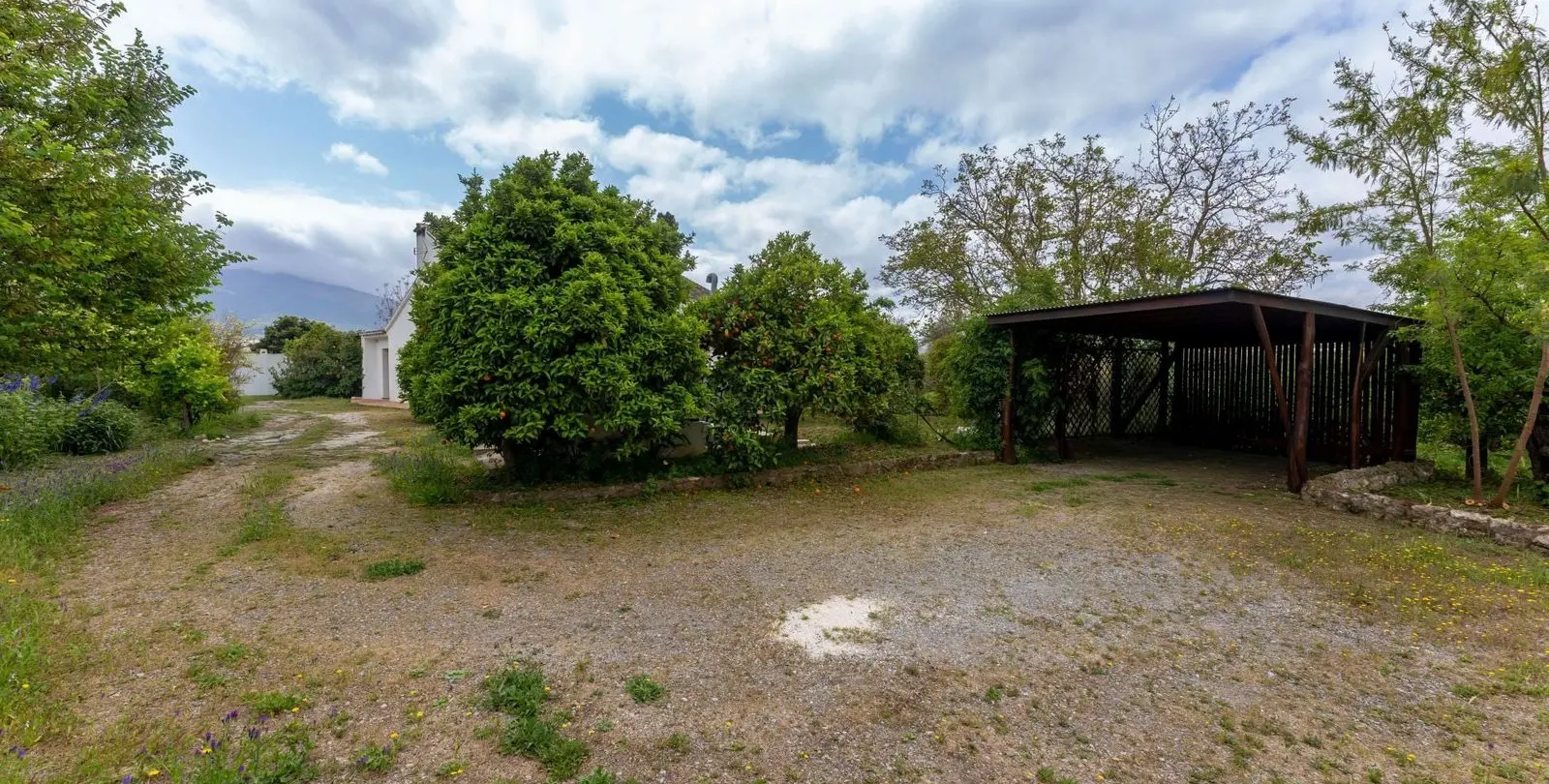 Sale of finca - cortijo in Alhaurín el Grande 48
