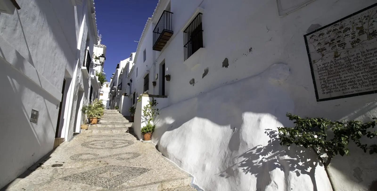 Sale of detached villa in Nerja 25