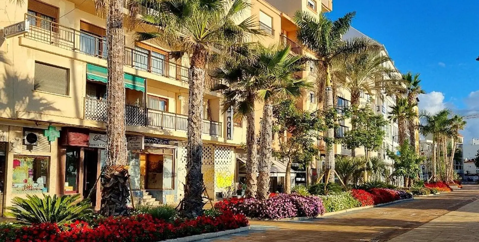 Sale of commercial premises in Estepona 3