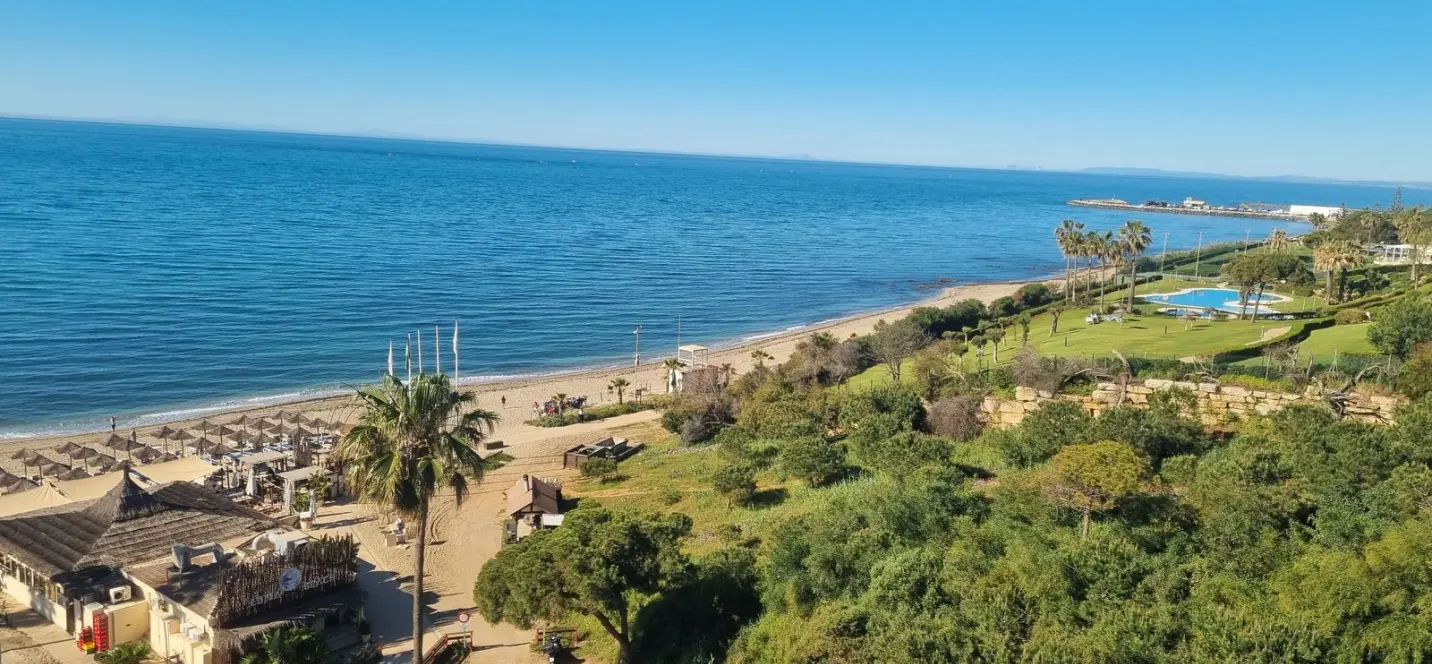 Sale of studio in Calahonda 1