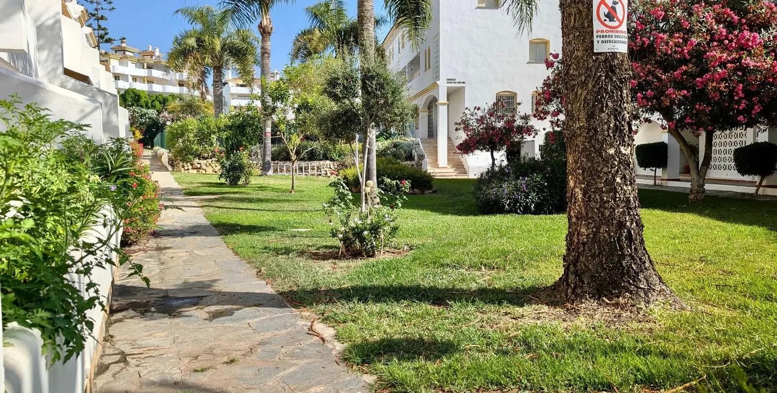 Sale of penthouse in Calahonda 42