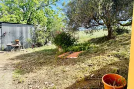 Image 10 thumb