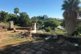 Image 18 thumb