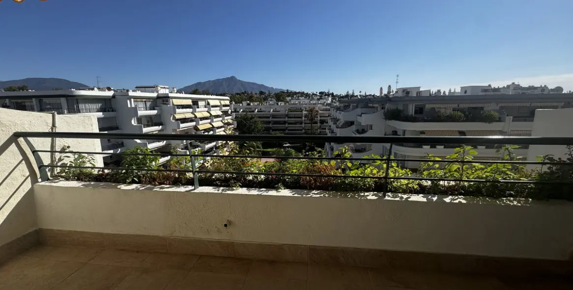 Sale of middle floor apartment in Guadalmina Alta 4
