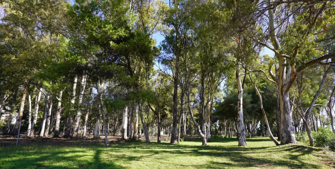 Продажа таунхауса в Estepona 38
