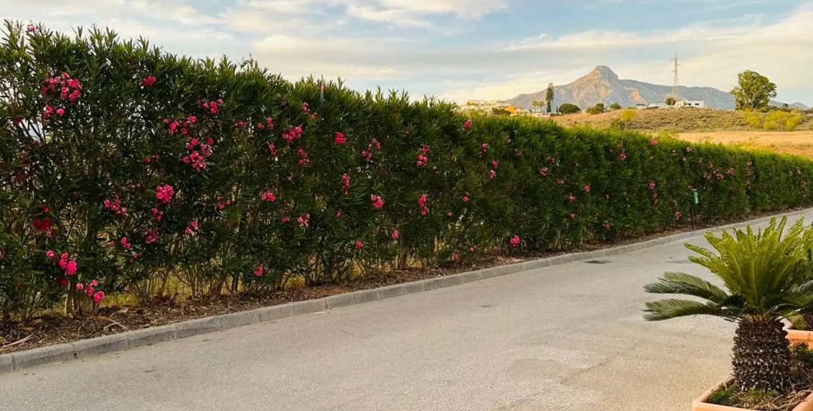 Venta de adosado en Nueva Andalucía 5