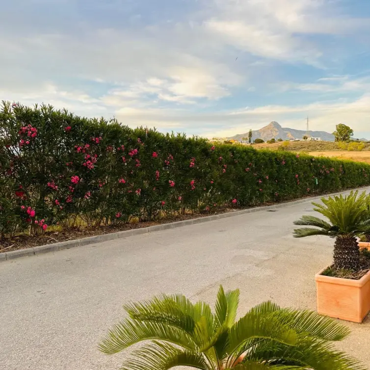 Sale of townhouse in Nueva Andalucía