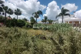 Image 7 thumb