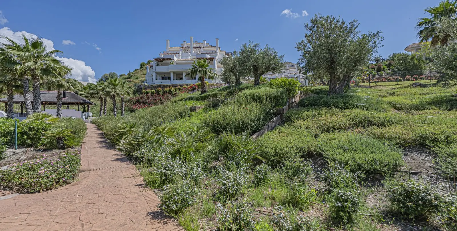 Sale of penthouse in Nueva Andalucía 14